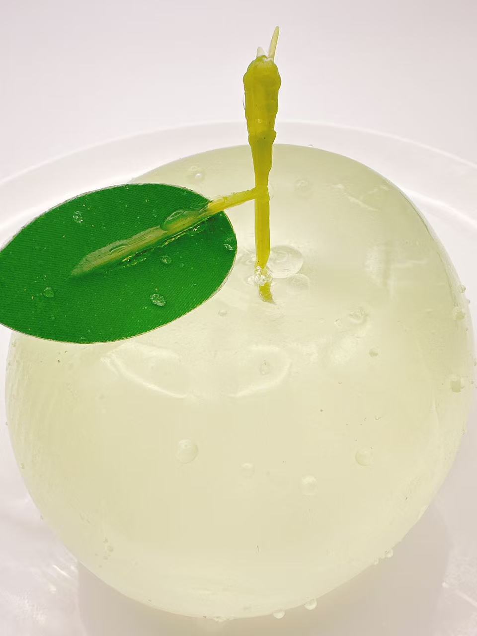 Green Jelly Apple Taba Squishy