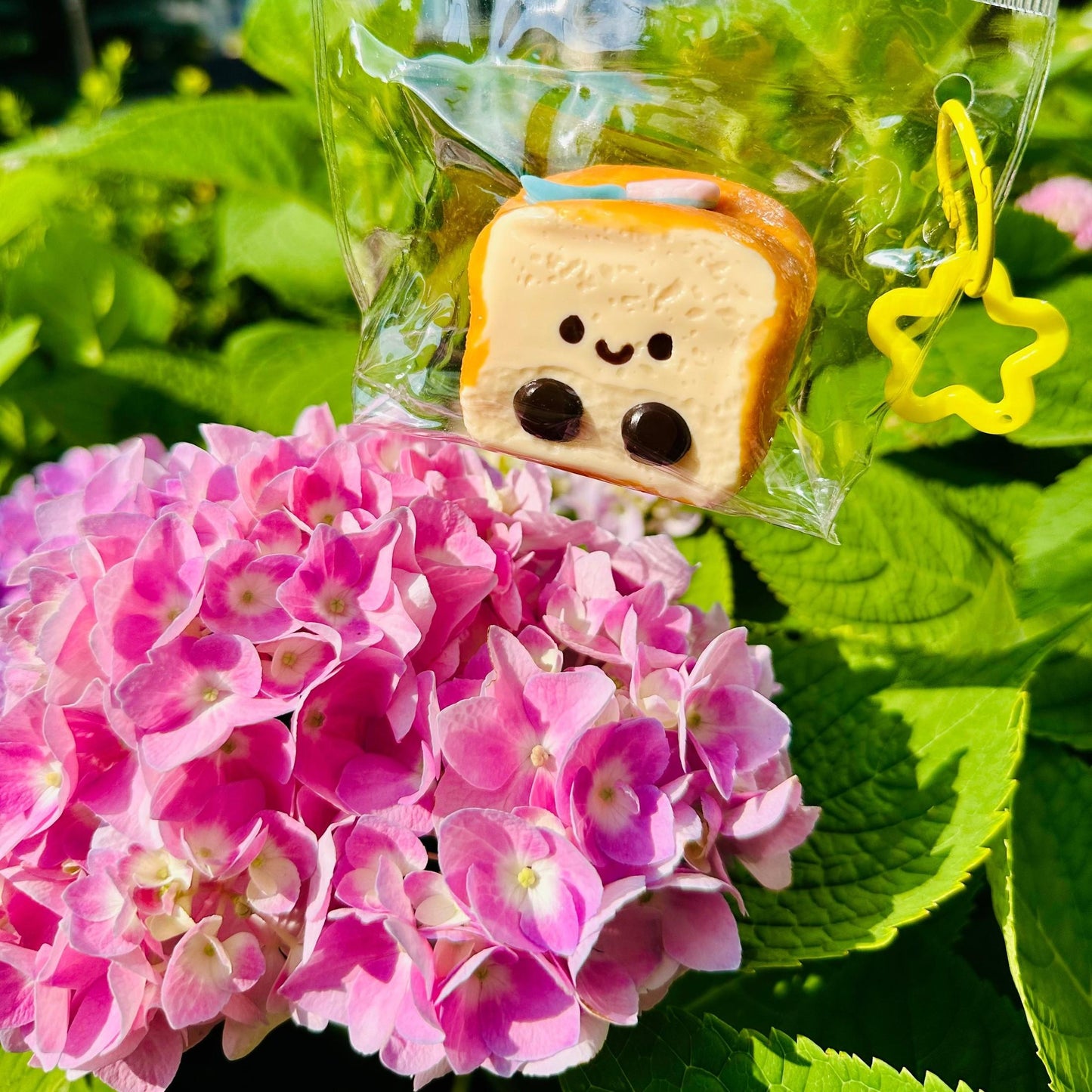Cute puppy toast squishy inside transparent bag with garden-theme displayed behind
