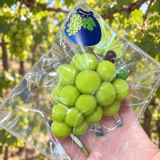 Hand holding a realistic green grape Taba squishy inside its clear PVC bag with grape label, photographed outdoors in natural sunlight.